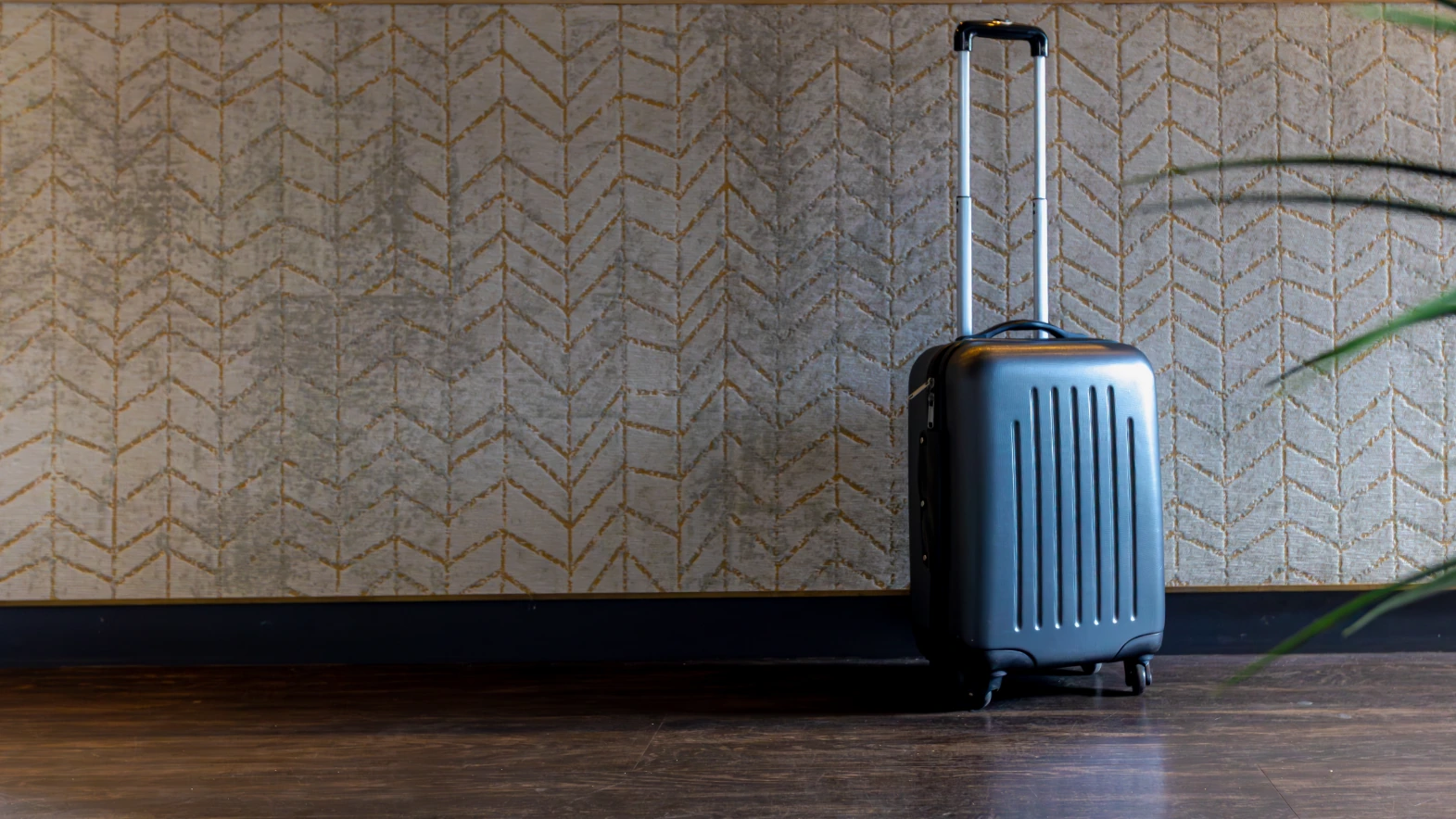 LUGGAGE